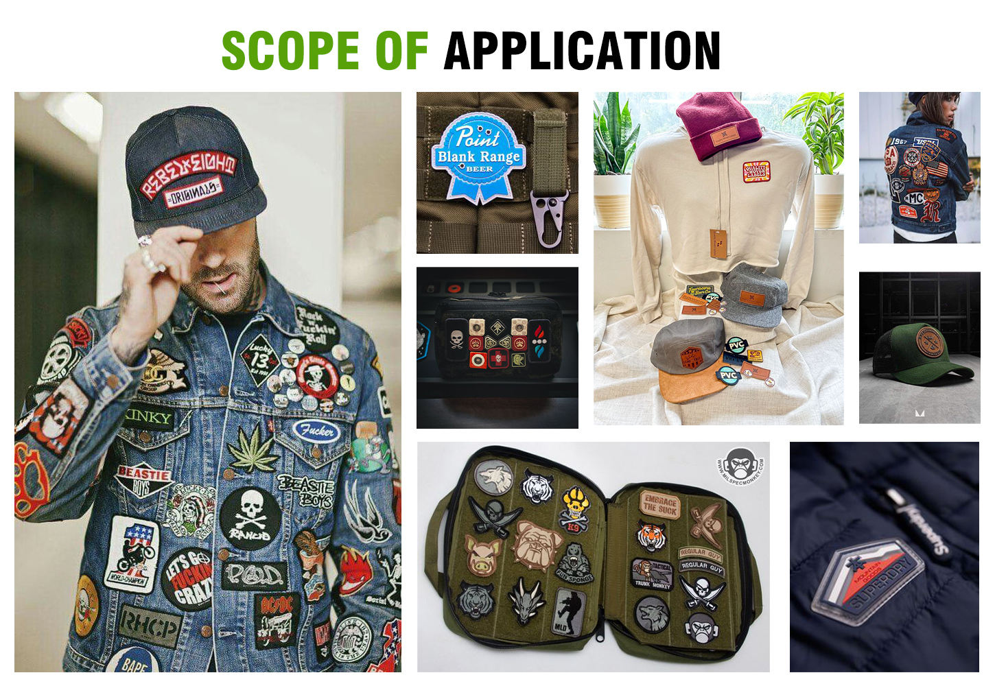 Scope Of Application Showcase