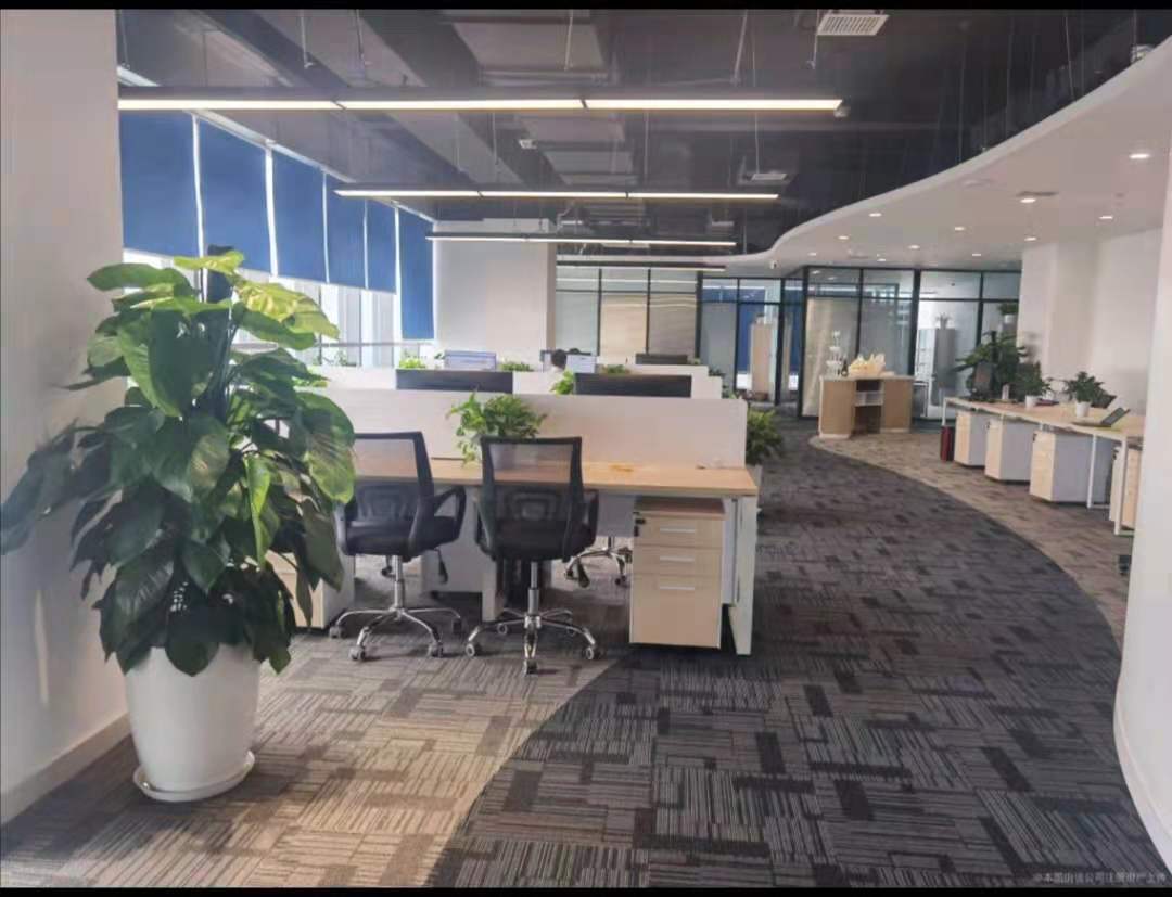 Company Profile