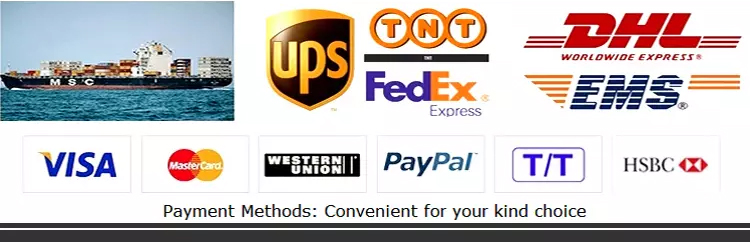 Shipping and Payment Guide